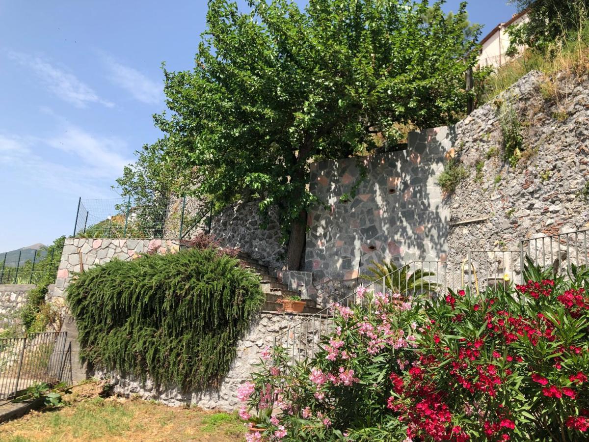 Appartement Un Capriccio - Ginepro à Aieta Extérieur photo